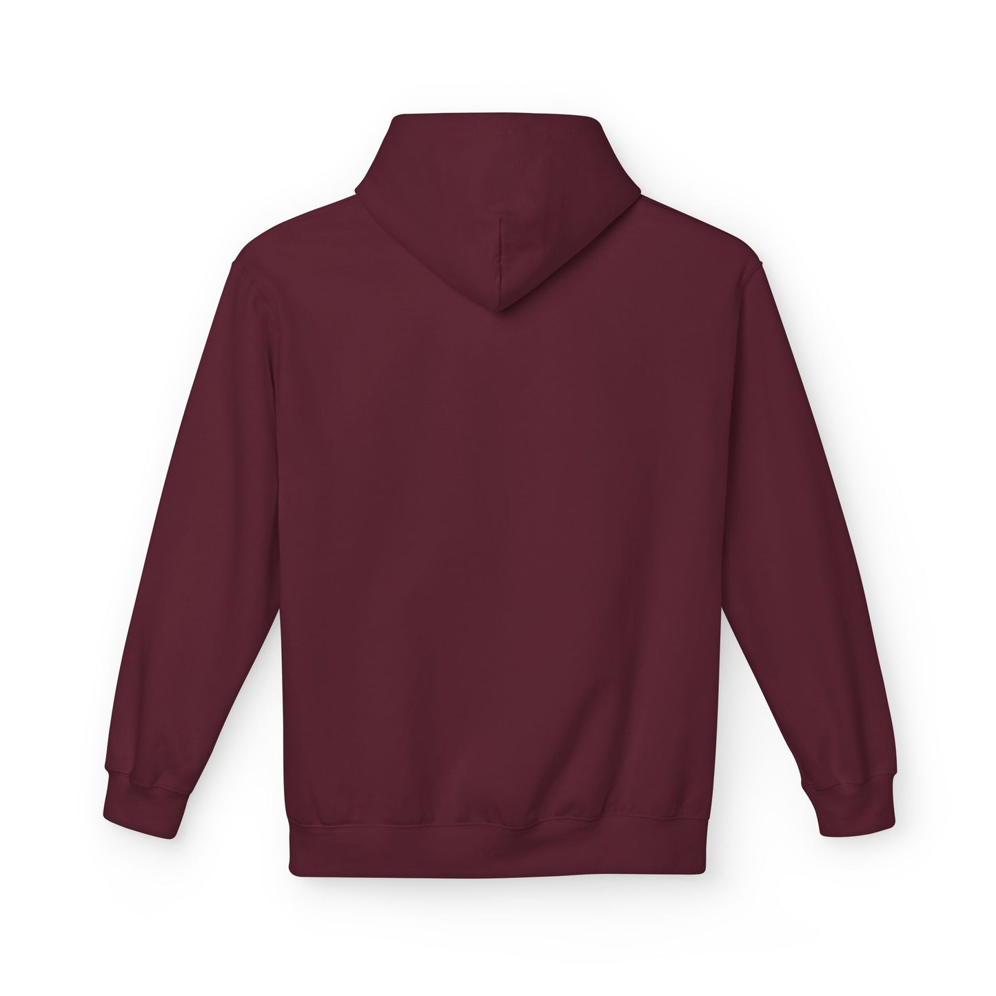 I Have A Both Fetish Hoodie