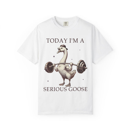 Today I'm a Serious Goose Tee