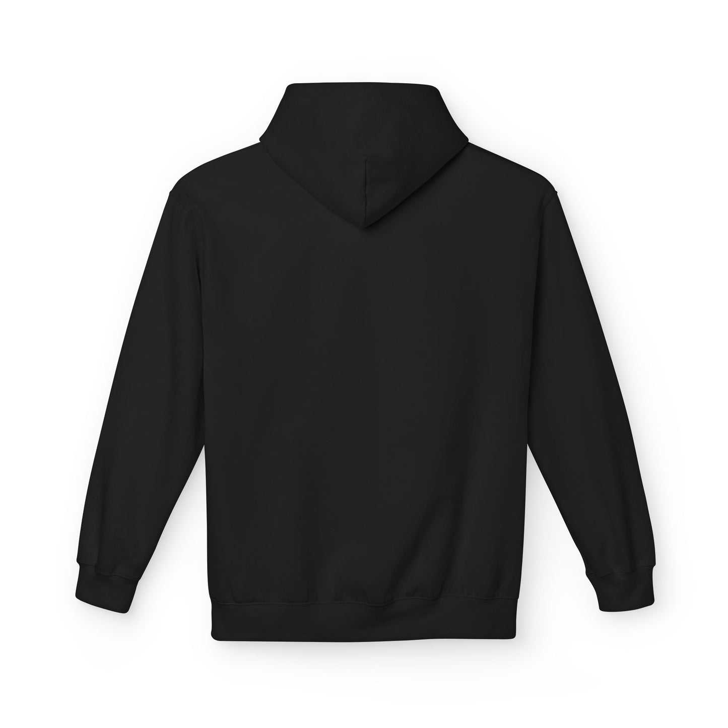 I Have A Both Fetish Hoodie